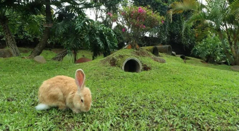 OYO Homes 90991 Eco Tourism Desa Panundaan Ciwidey 2 Syariah