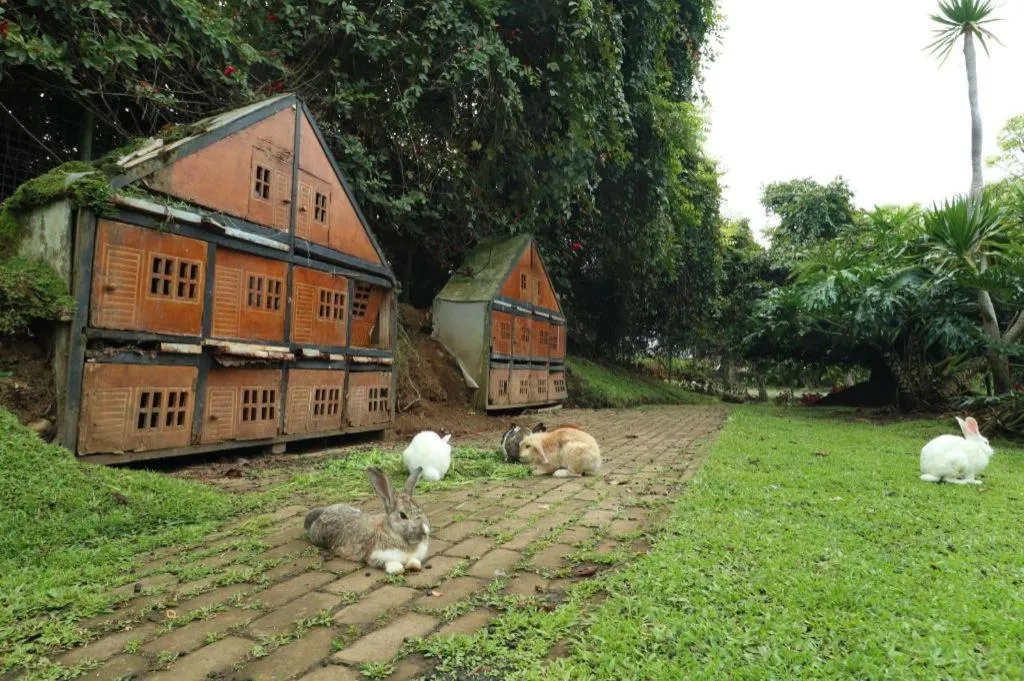 OYO Homes 90991 Eco Tourism Desa Panundaan Ciwidey 2 Syariah