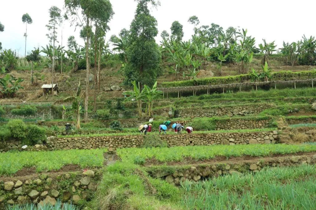 OYO Homes 90991 Eco Tourism Desa Panundaan Ciwidey 2 Syariah