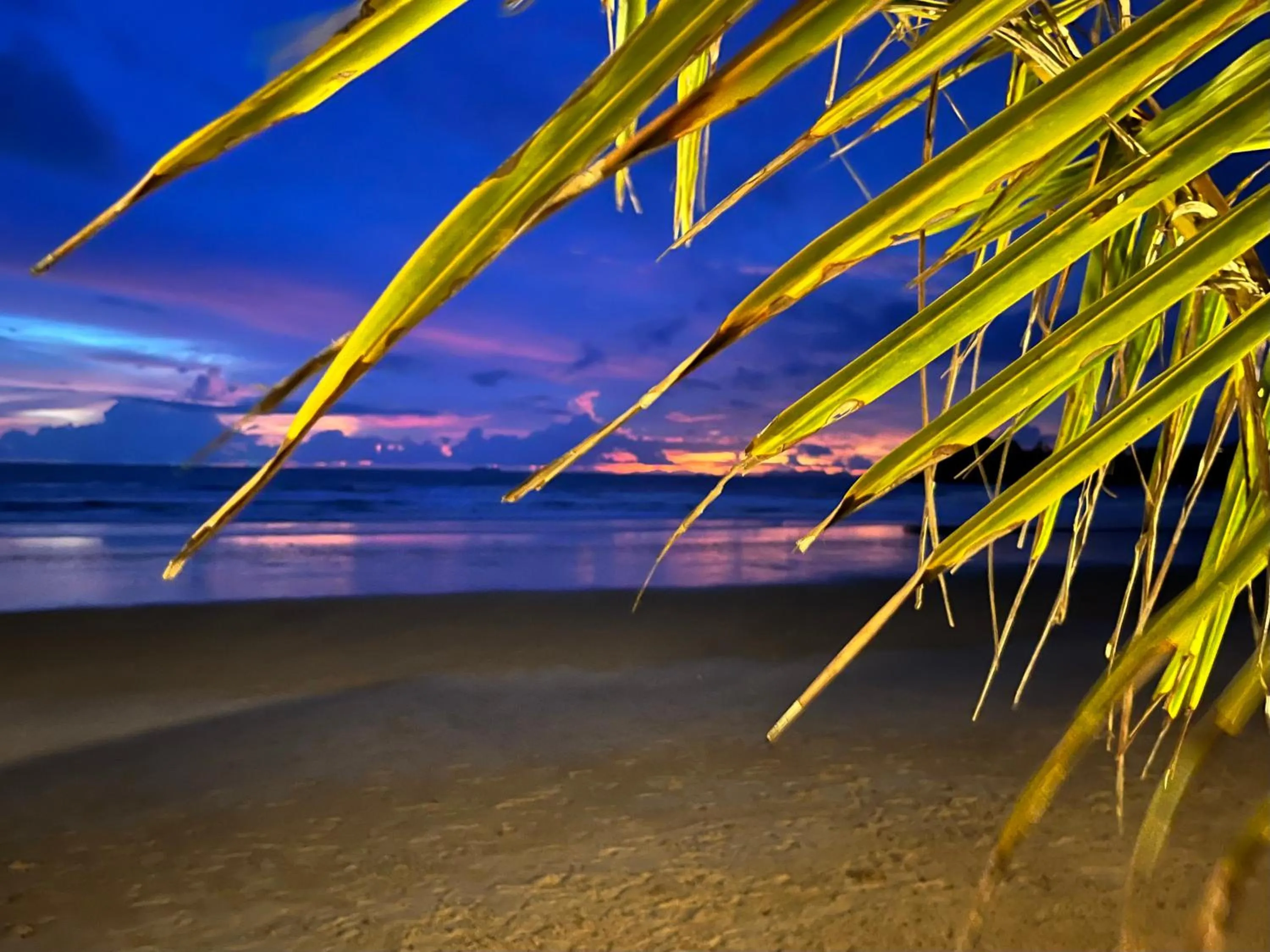 Beach in Noble House Beach Resort