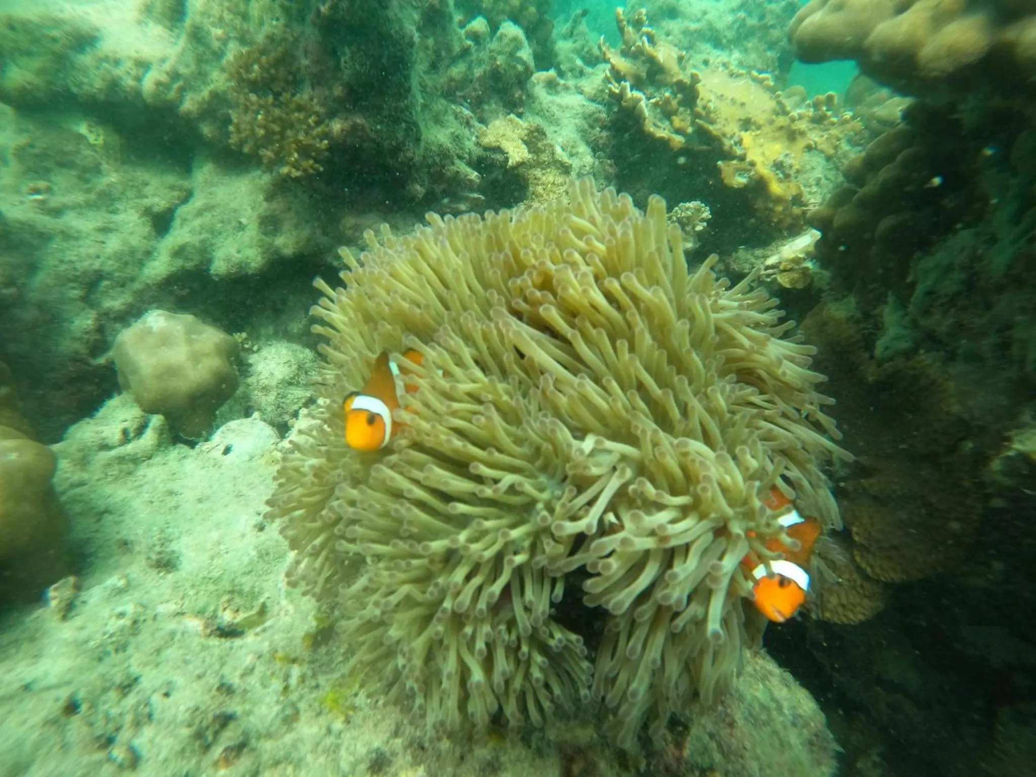 Nearby landmark in Noble House Beach Resort
