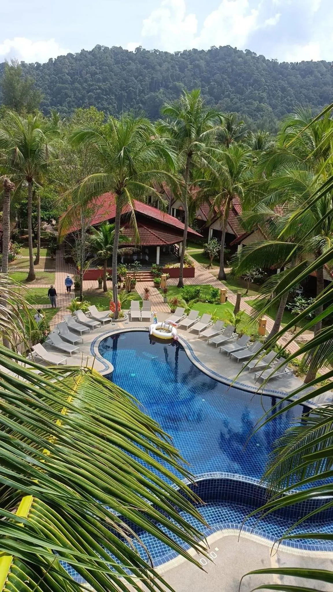 Natural landscape in Noble House Beach Resort