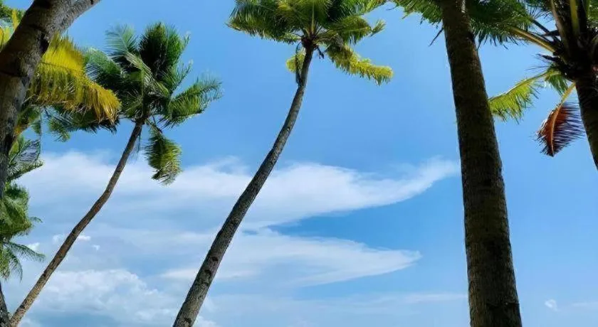 Marzon Beach Resort - Boracay