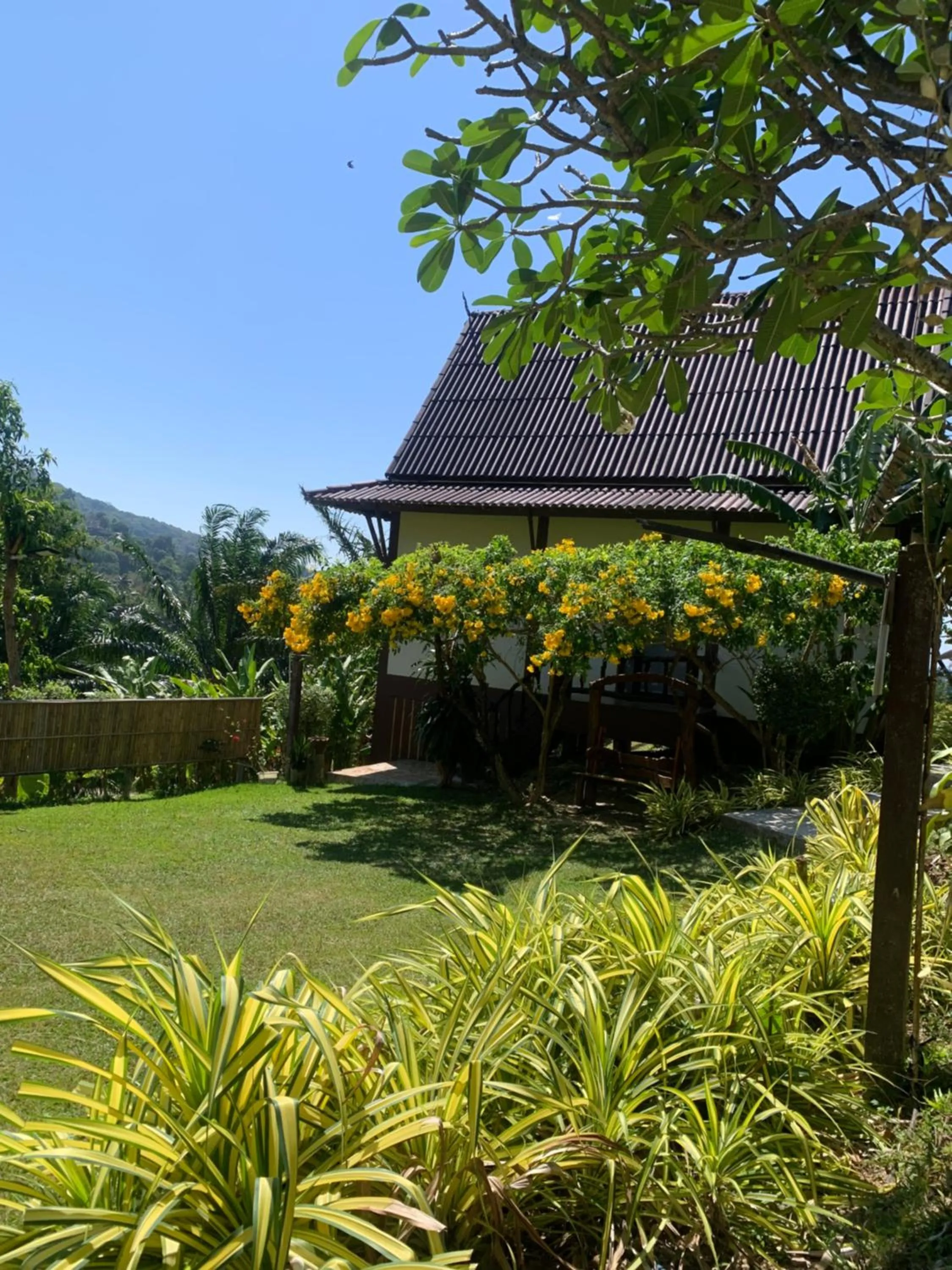 Spring in Phuchawee Lanta