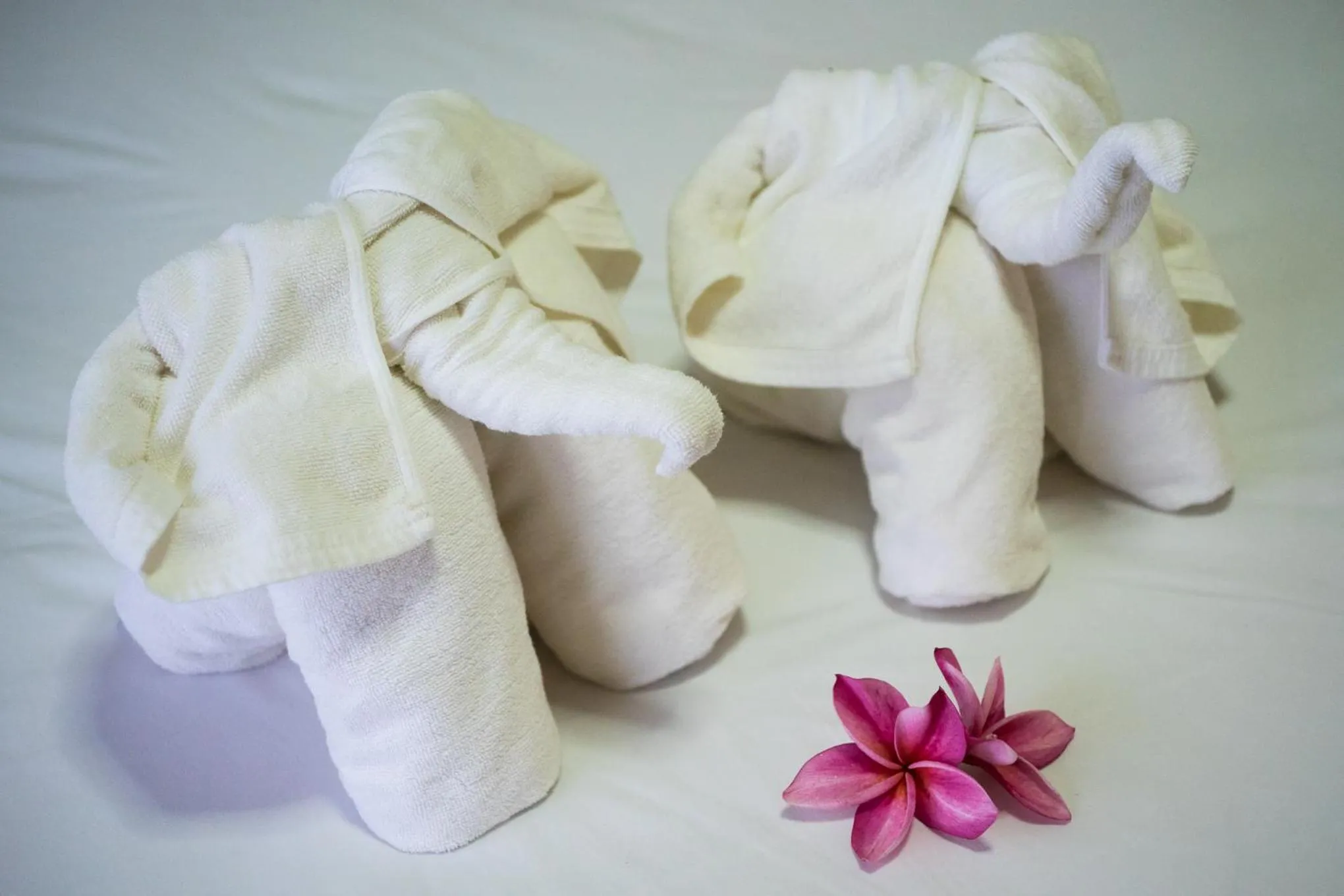 towels in Phuchawee Lanta