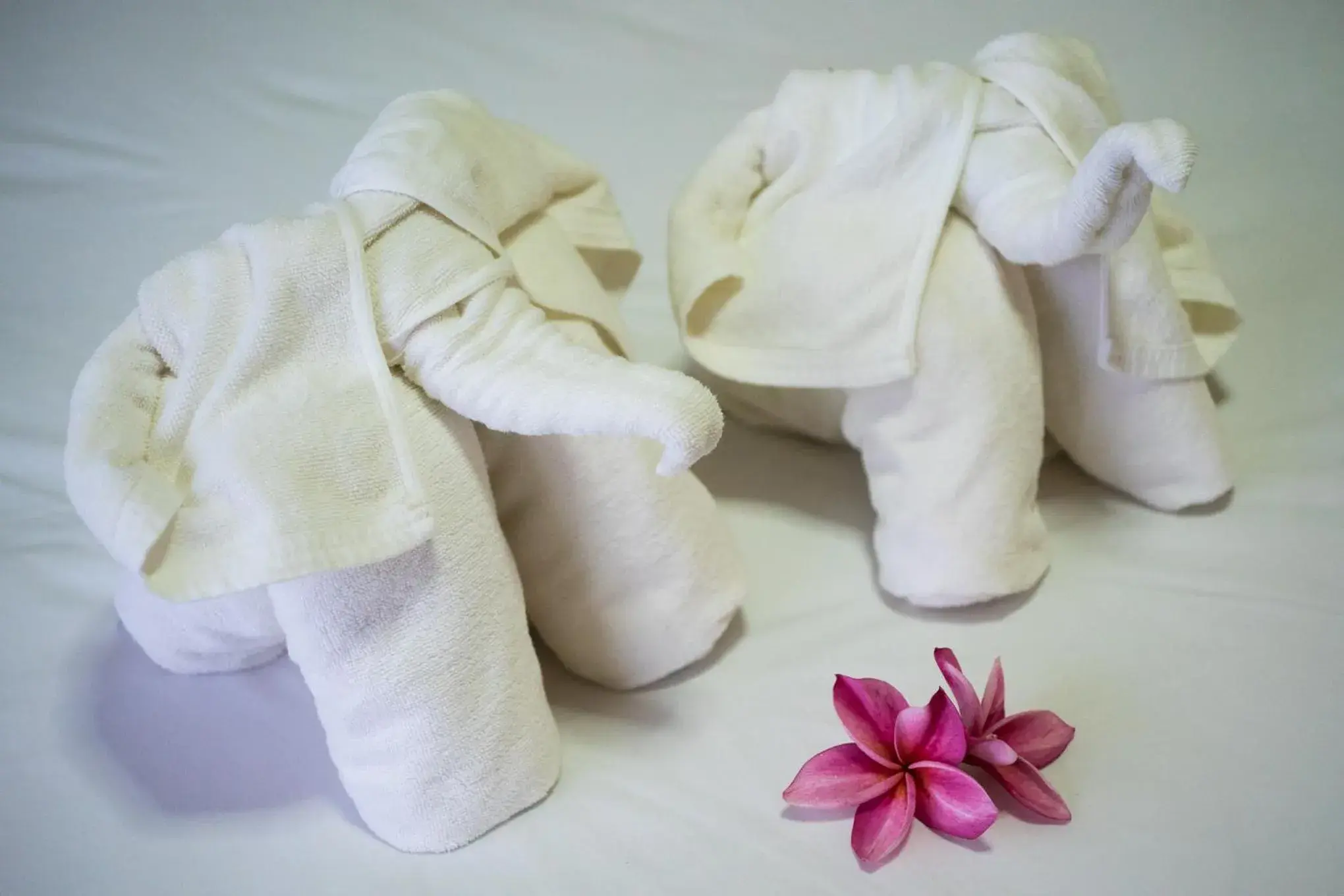 Family Bungalow in Phuchawee Lanta Family Bungalow in Phuchawee Lanta