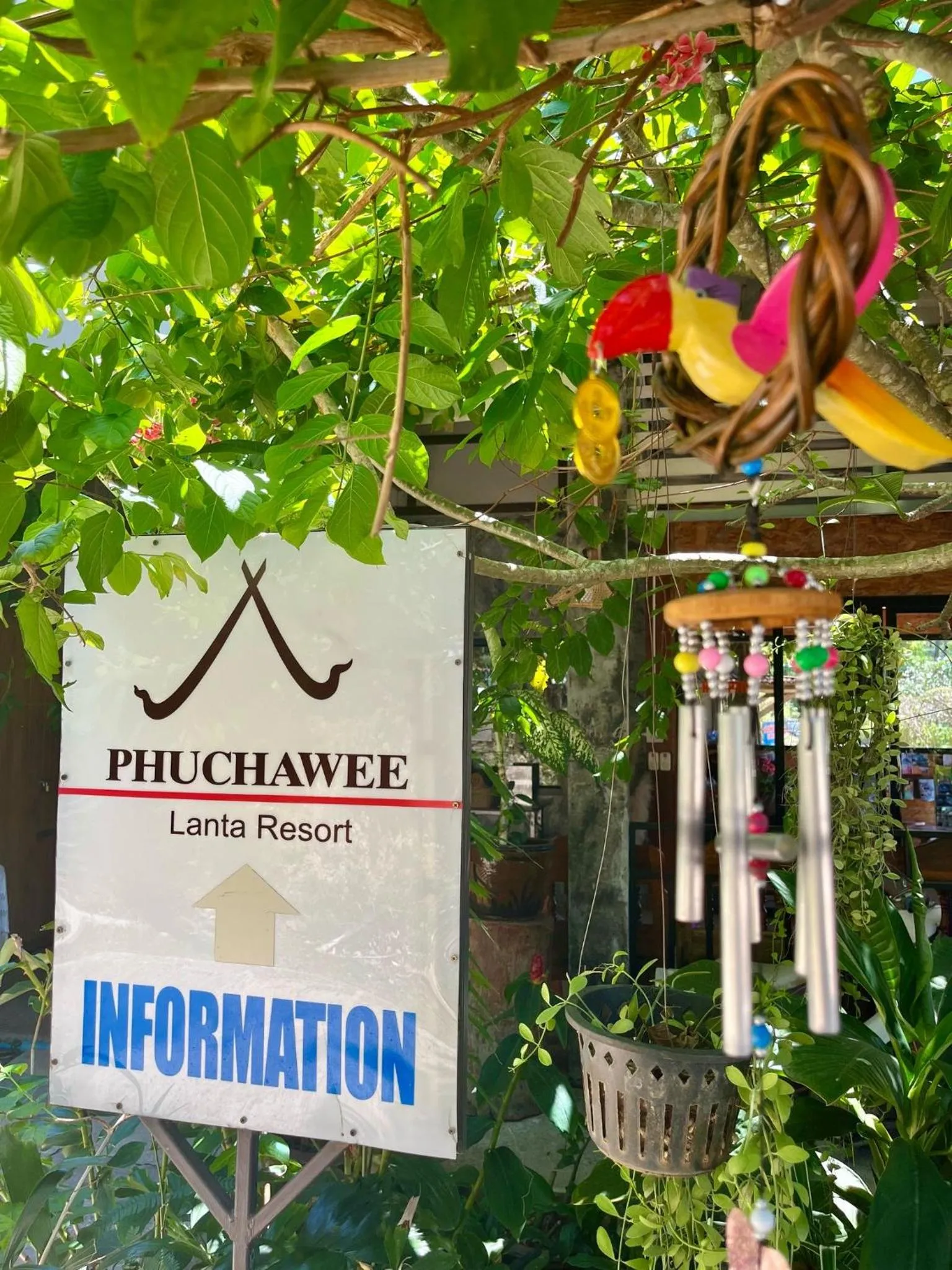 Spring in Phuchawee Lanta