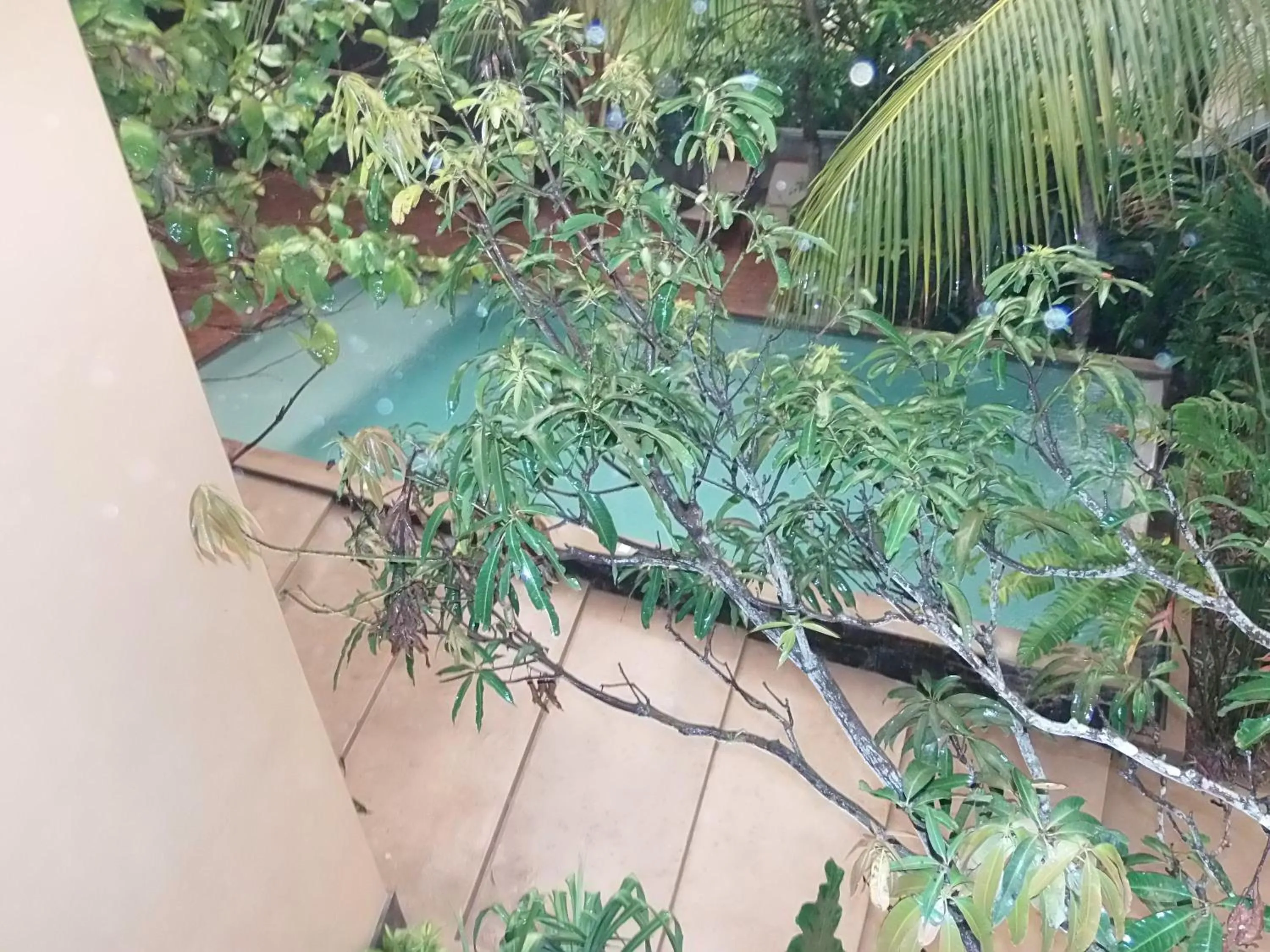 Natural landscape, Pool View in Aurora