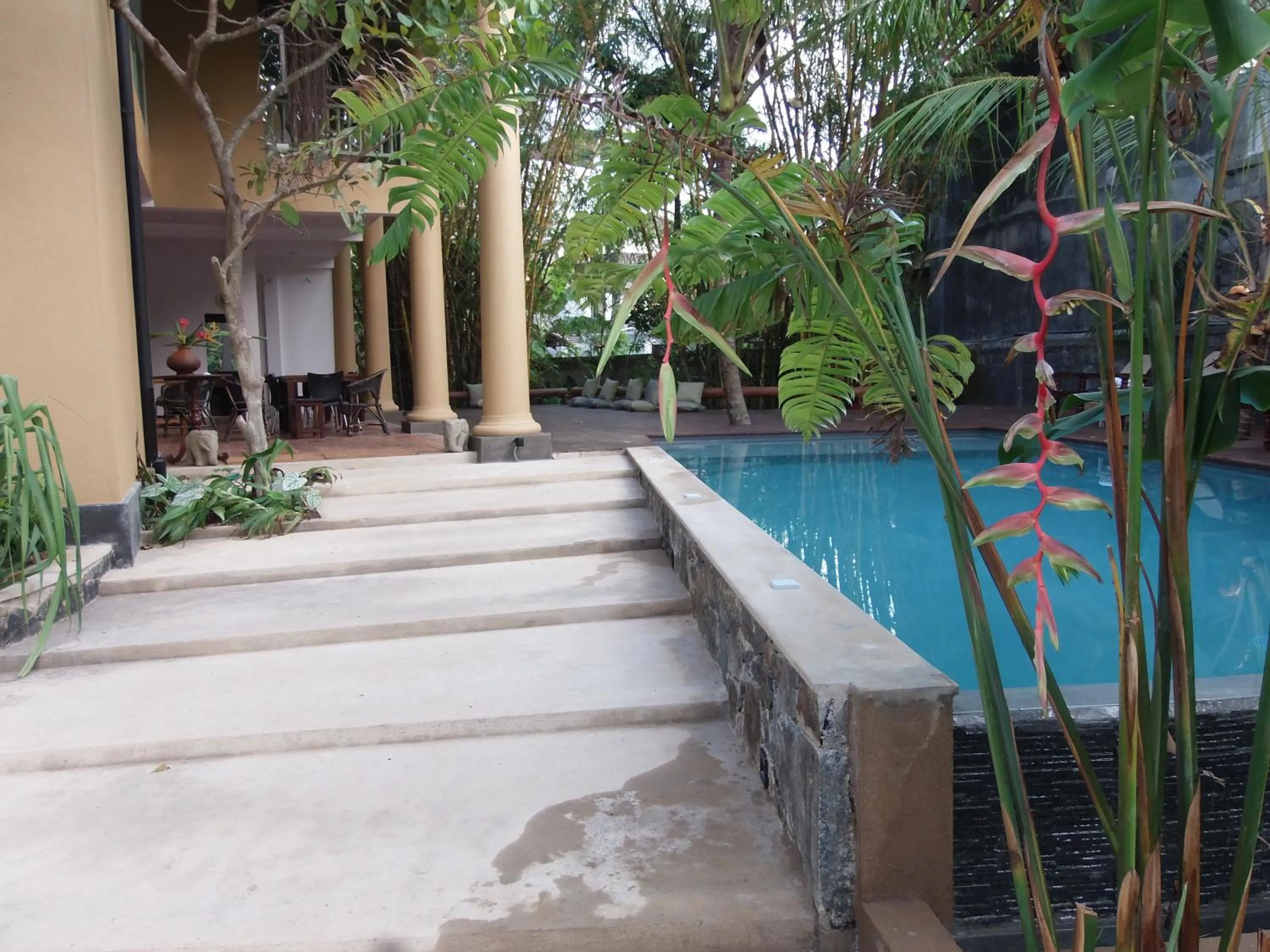 Area and facilities, Swimming Pool in Aurora