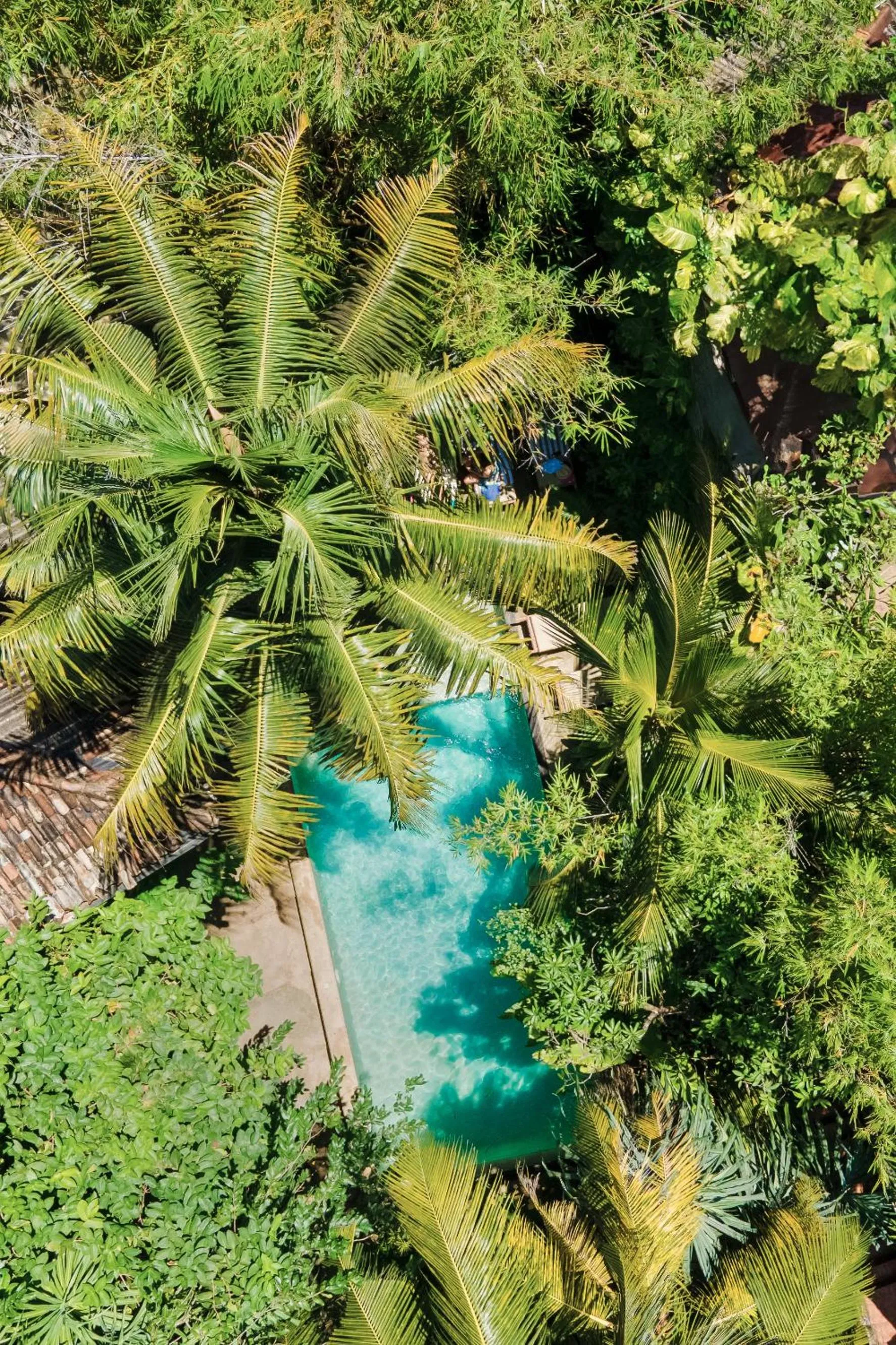 Swimming pool in Aurora