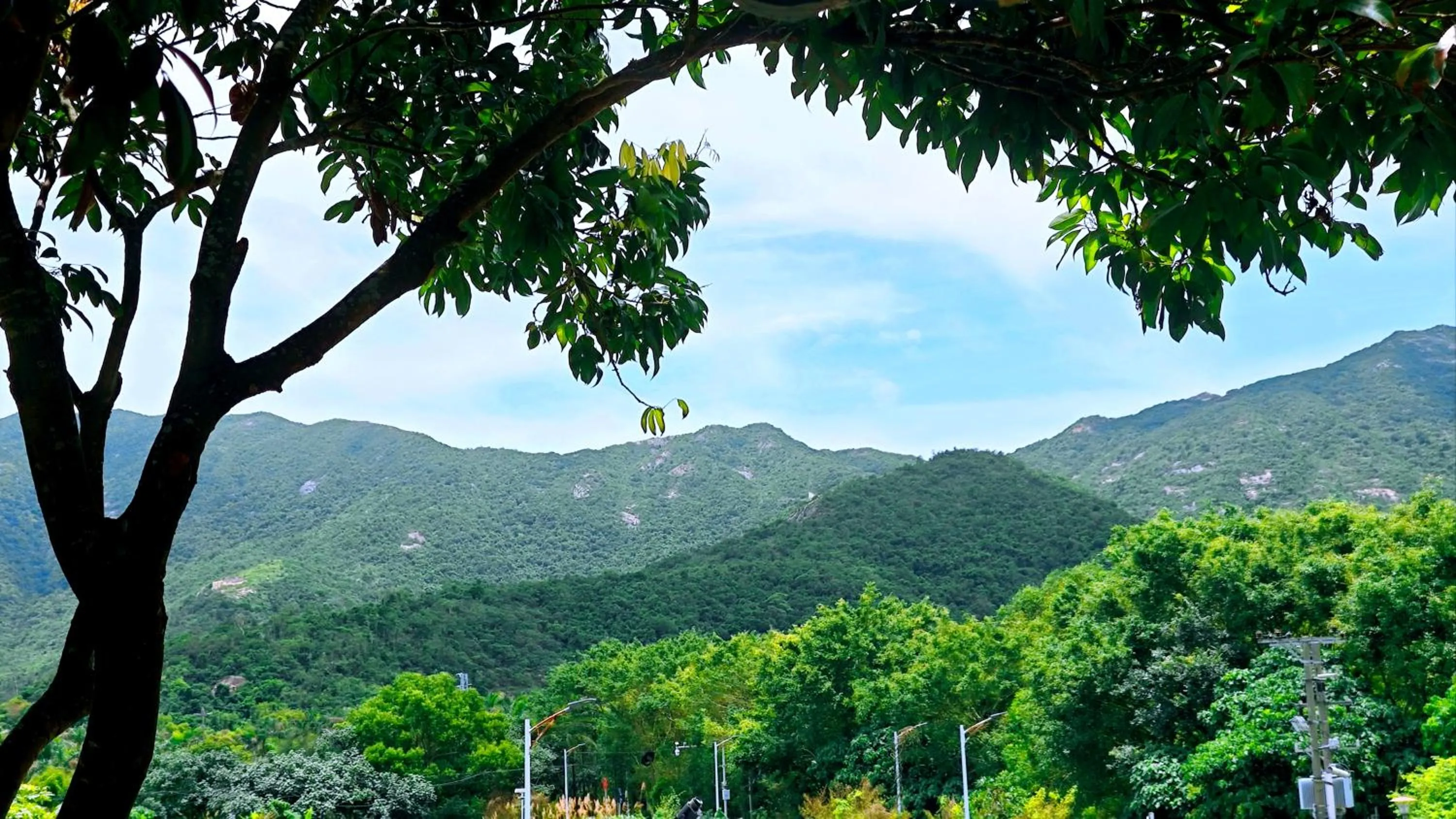 View (from property/room) in Cloud Tree Inn Boutique Guesthouse XiChong DaPeng ShenZhen 深圳大鹏西涌云树里民宿Yun Shu Li