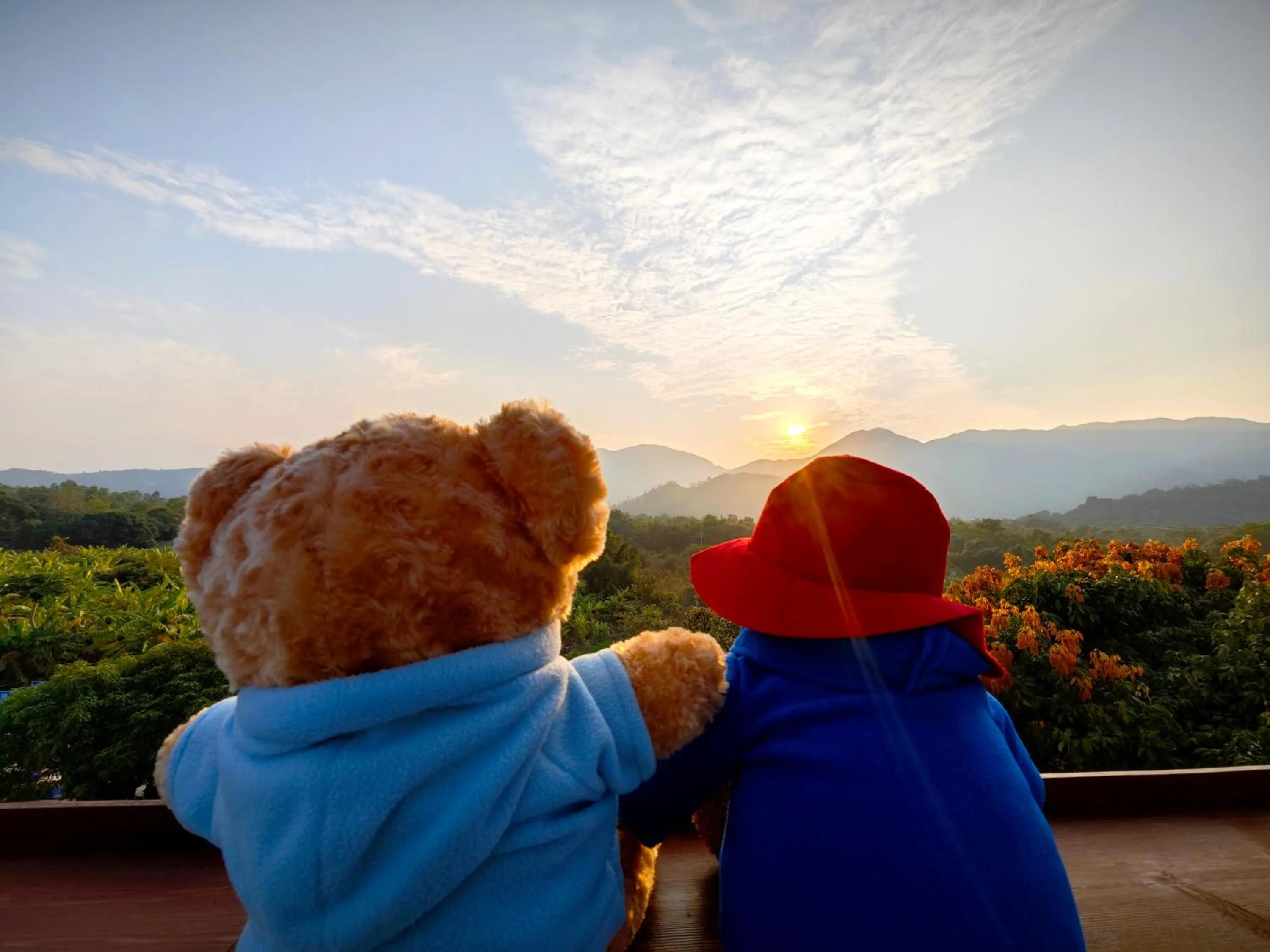 Mountain view in Cloud Tree Inn Boutique Guesthouse XiChong DaPeng ShenZhen 深圳大鹏西涌云树里民宿Yun Shu Li