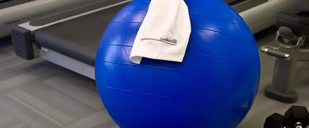 Sonesta ES Suites Ann Arbor