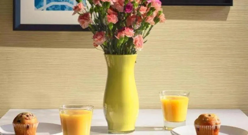 Sonesta ES Suites Ann Arbor