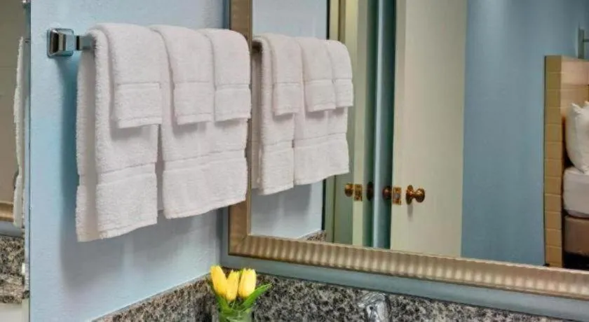 Sonesta ES Suites Ann Arbor