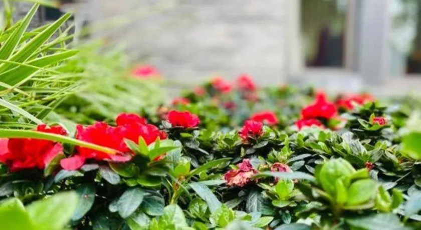 Xinjin Celebrity City Hotel