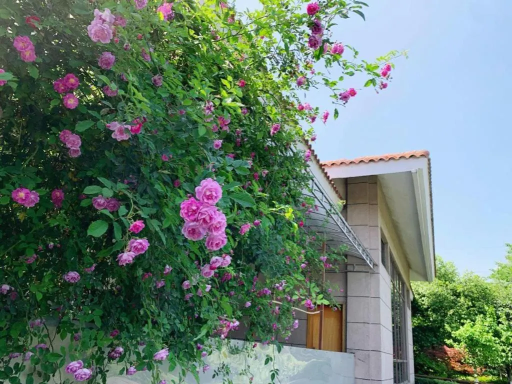 Xinjin Celebrity City Hotel