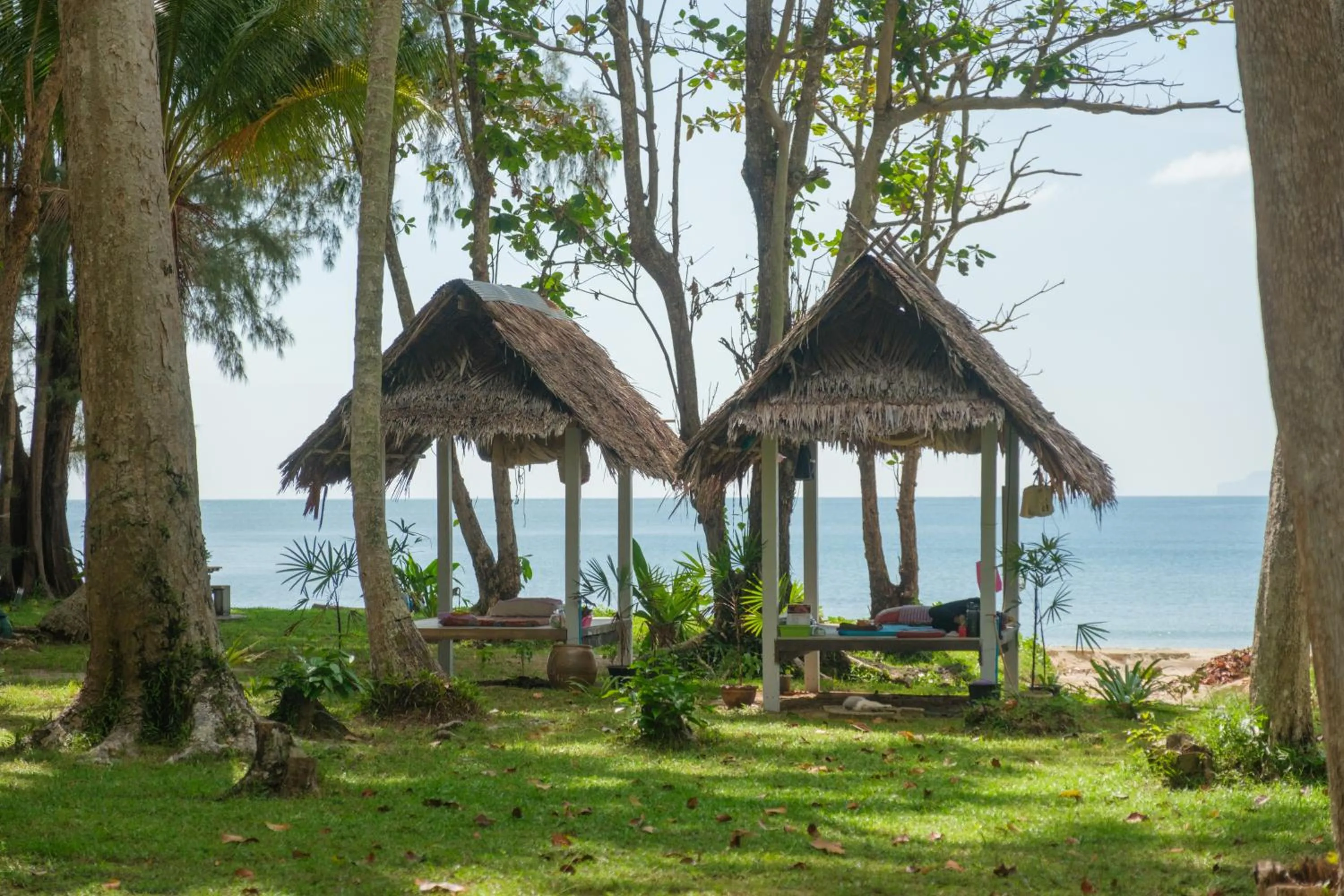 Natural landscape in JOY Bungalow Resort and Restaurant