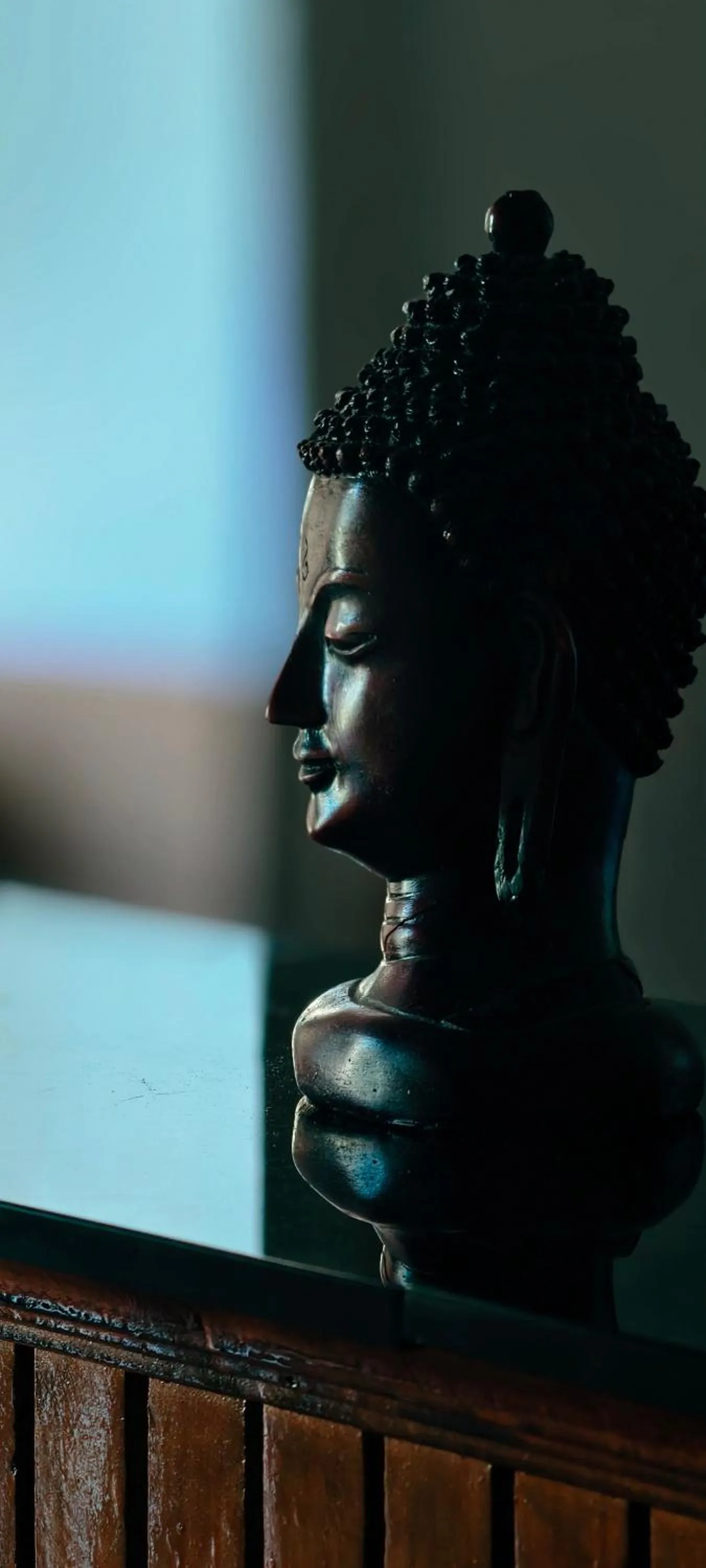 Tree Elanza, Unit of Santhi Ayurvedic Resort