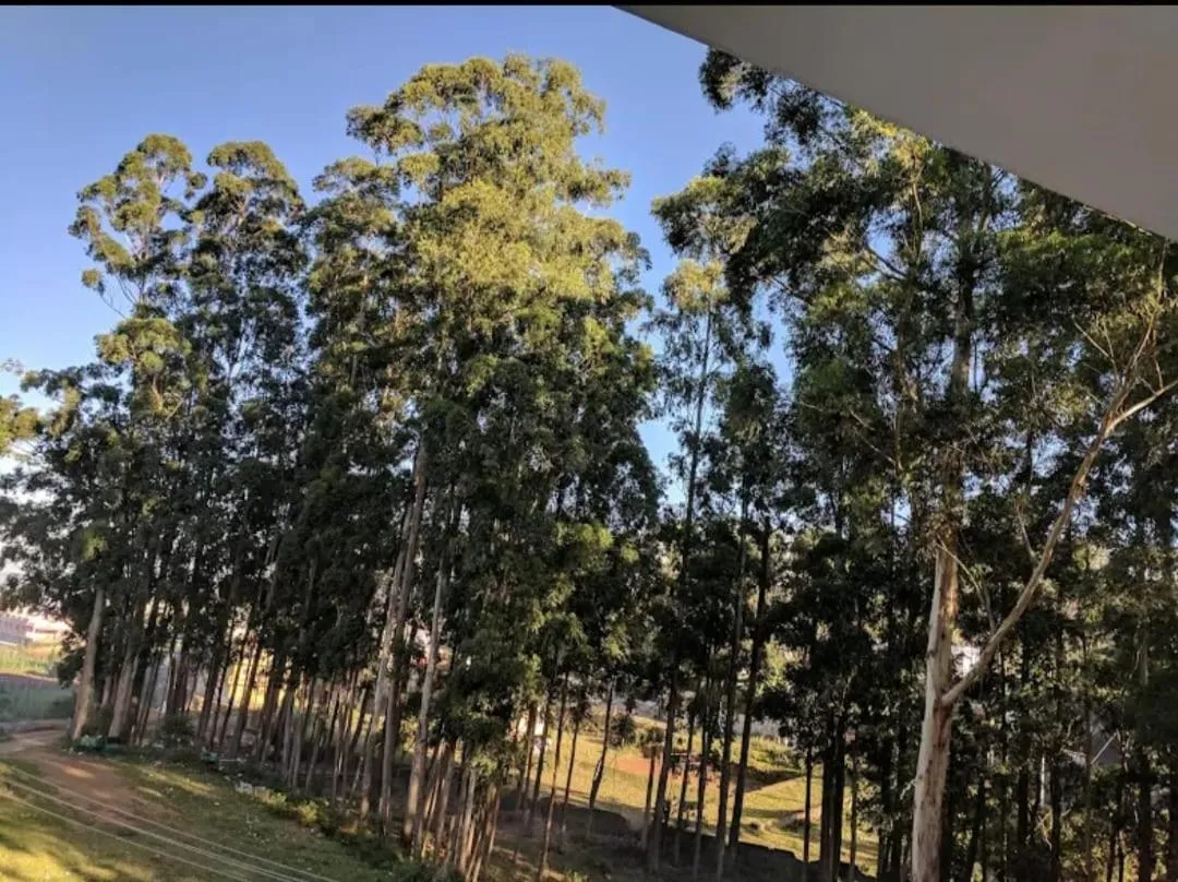 Tree Elanza, Unit of Santhi Ayurvedic Resort