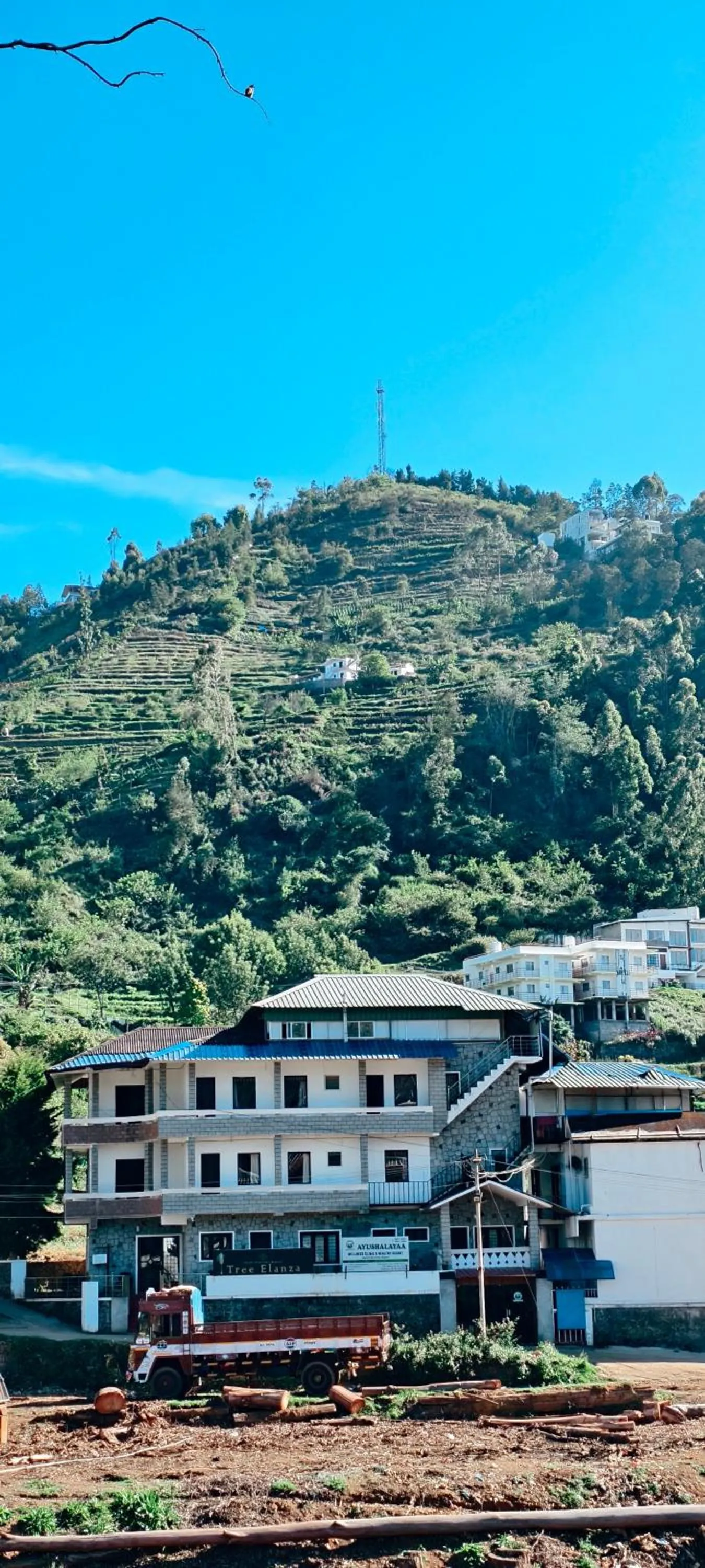 Natural landscape in Tree Elanza, Unit of Santhi Ayurvedic Resort