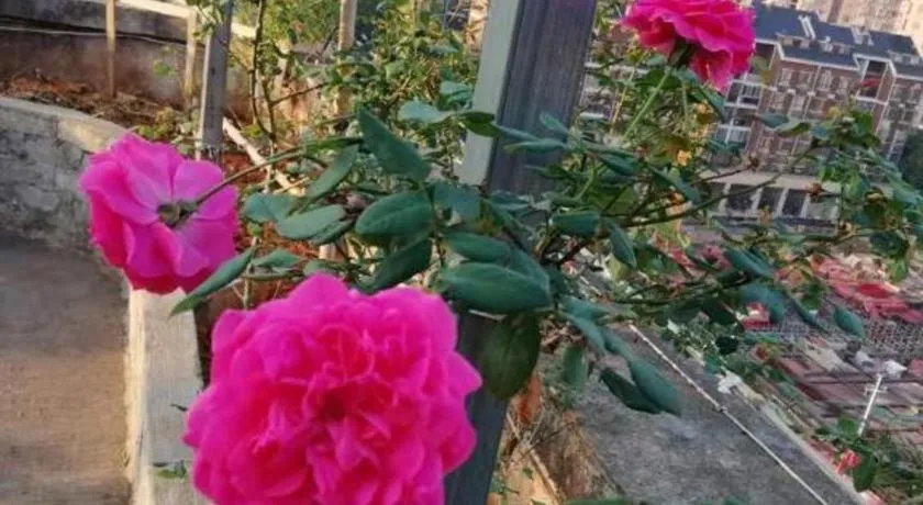 Kaibin International Hotel Jingdezhen