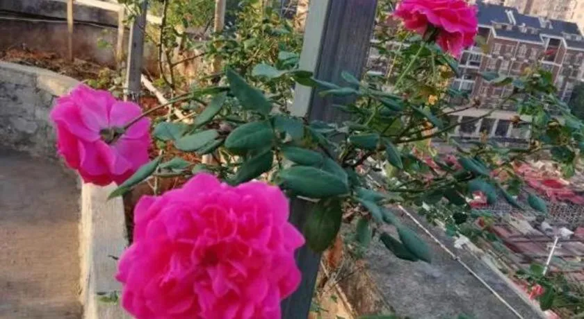 Kaibin International Hotel Jingdezhen