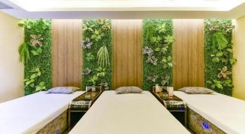 GreenTree Eastern Hotel Handan Daming Bus Station