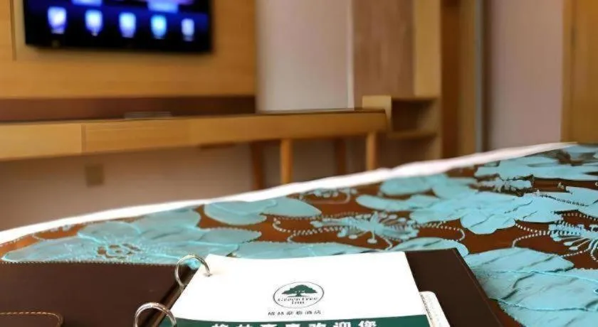 Bed in GreenTree Inn Urumqi Airport Tianyi International City