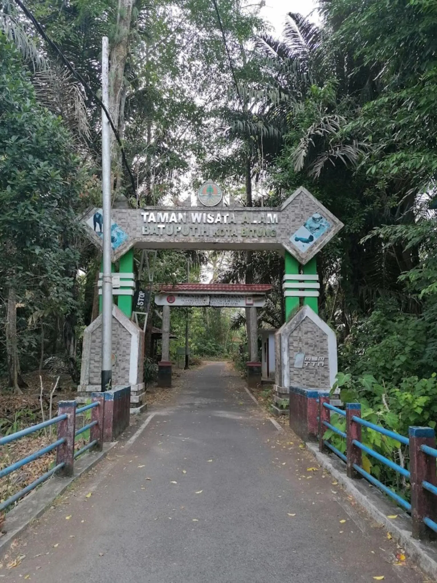 Day in Tangkoko Macaca