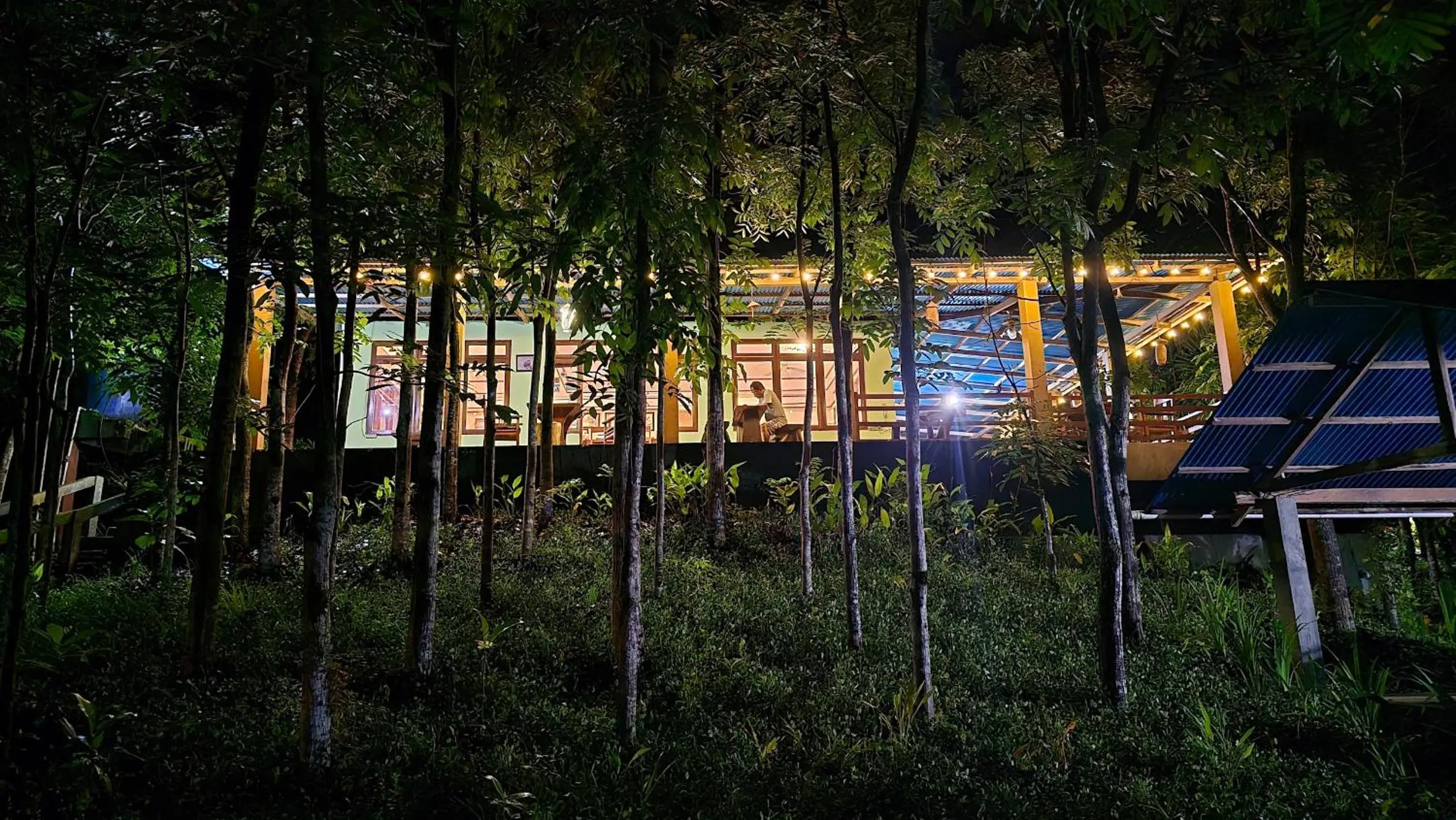 Property building in Tangkoko Macaca