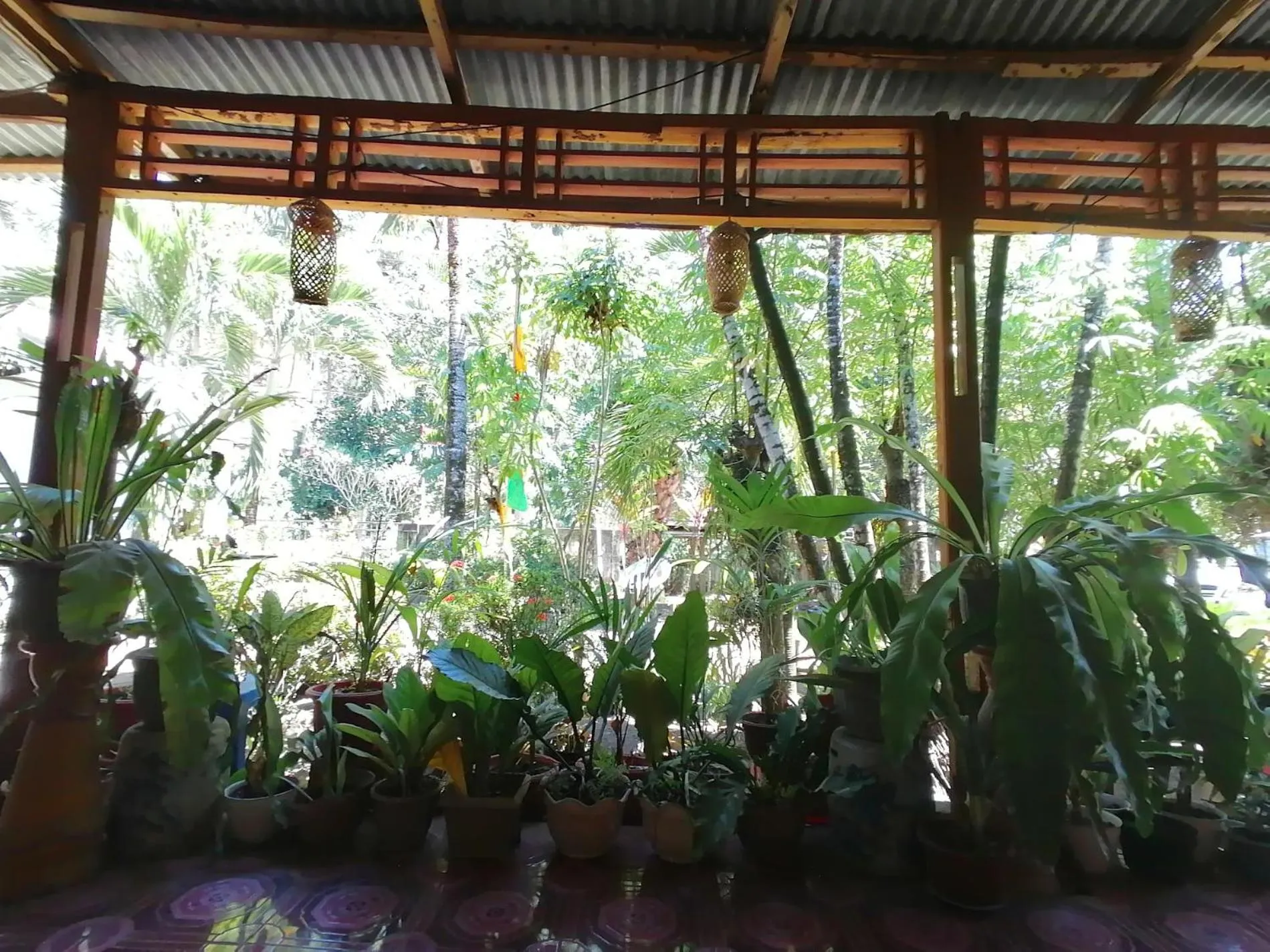 Garden in Tangkoko Macaca