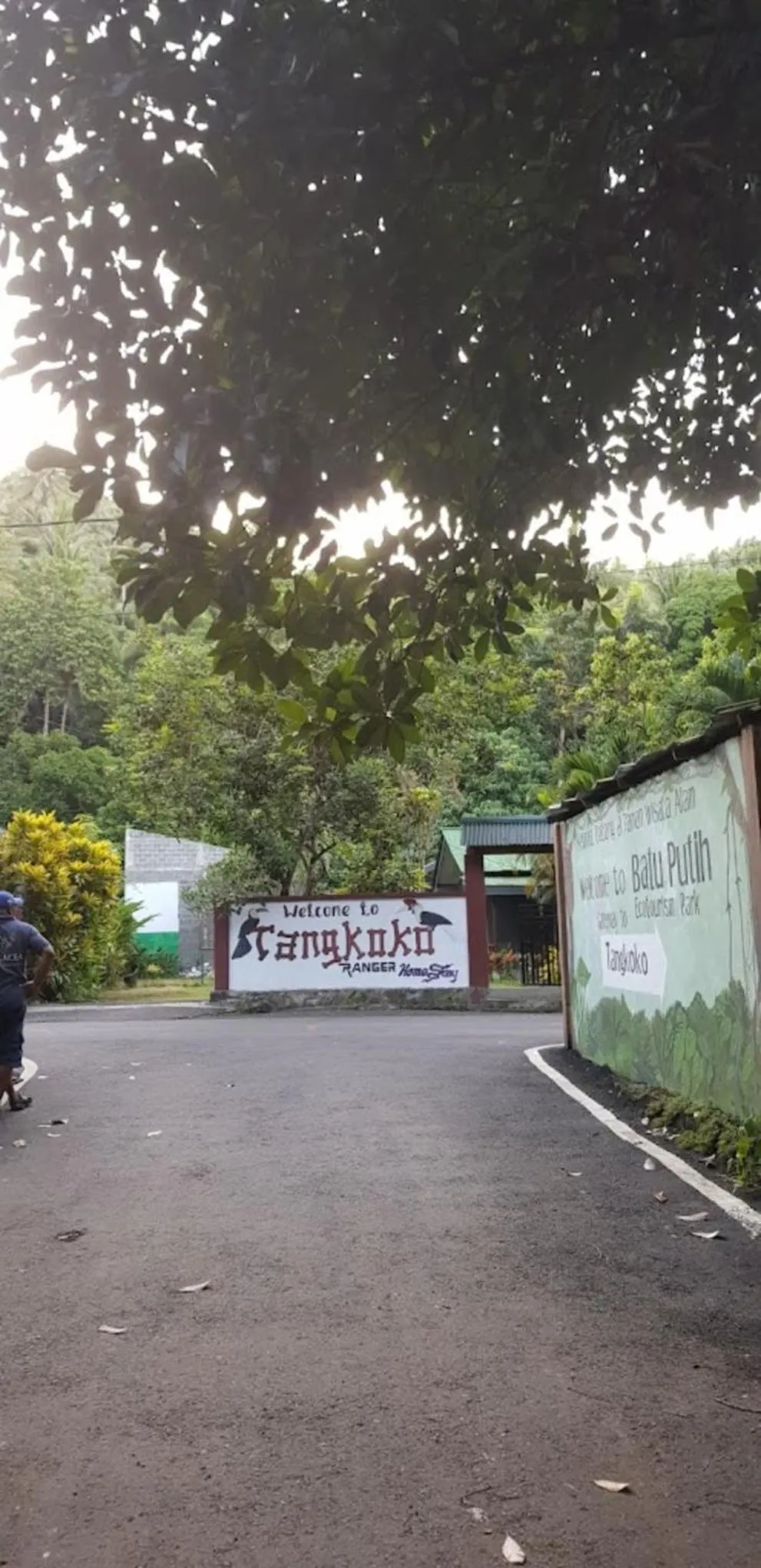 Day in Tangkoko Macaca