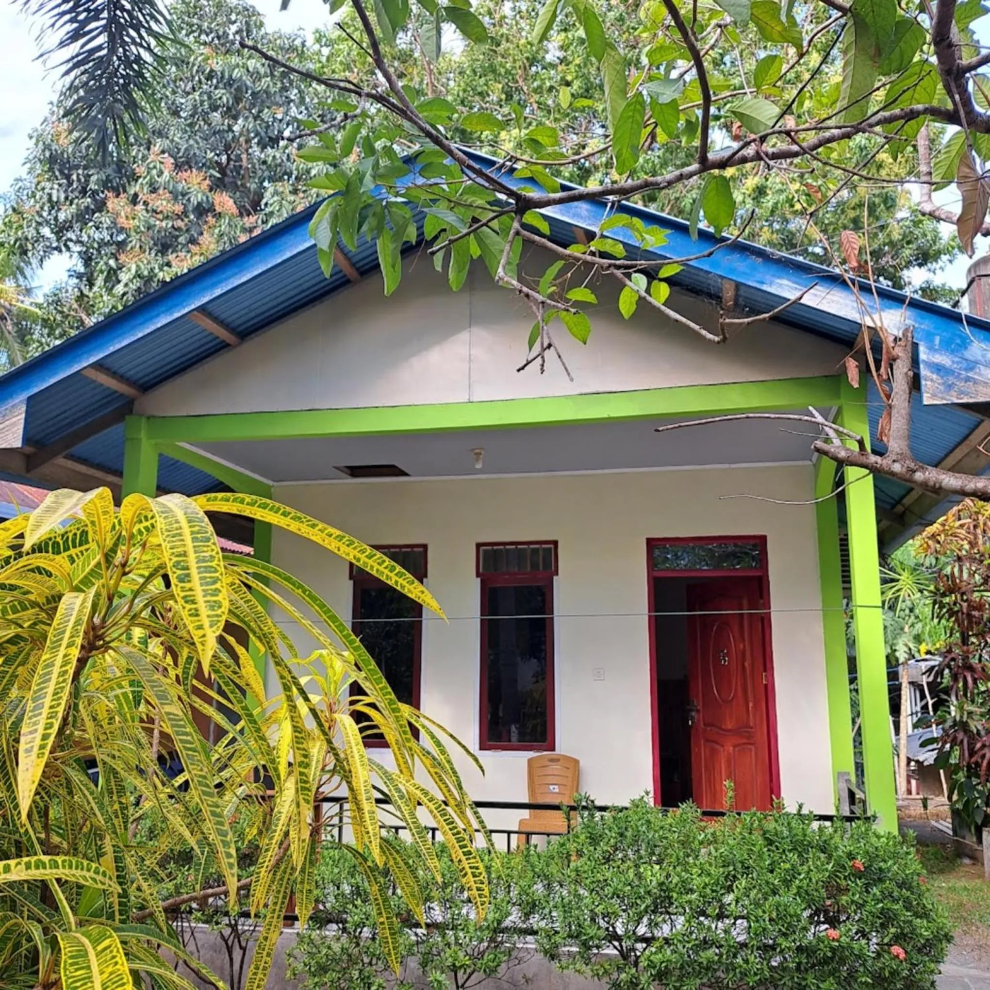 Property building in Tangkoko Macaca