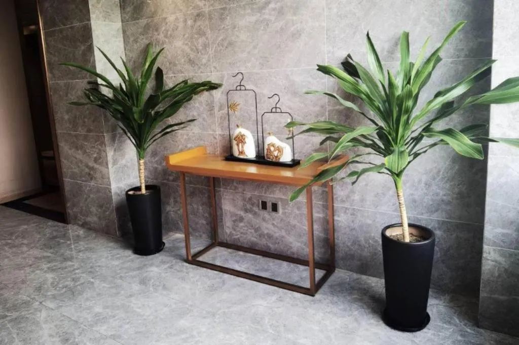 Home Inn Plus Shanghai Middle Ring Jinshajiang Road Fengzhuang Metro Station