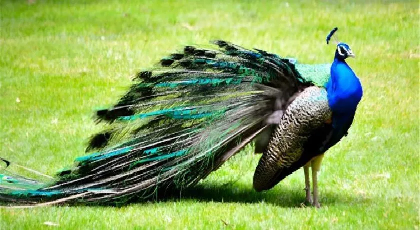 Dongguan MCB Lake Hotel