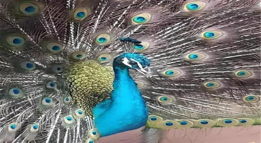 Dongguan MCB Lake Hotel