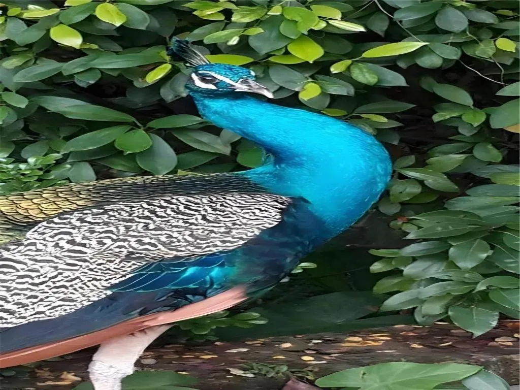 Dongguan MCB Lake Hotel