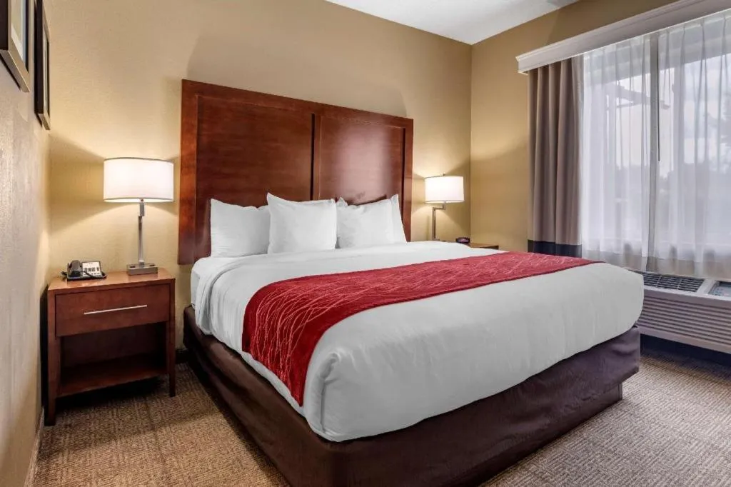 Bed in Comfort Inn DFW Airport North