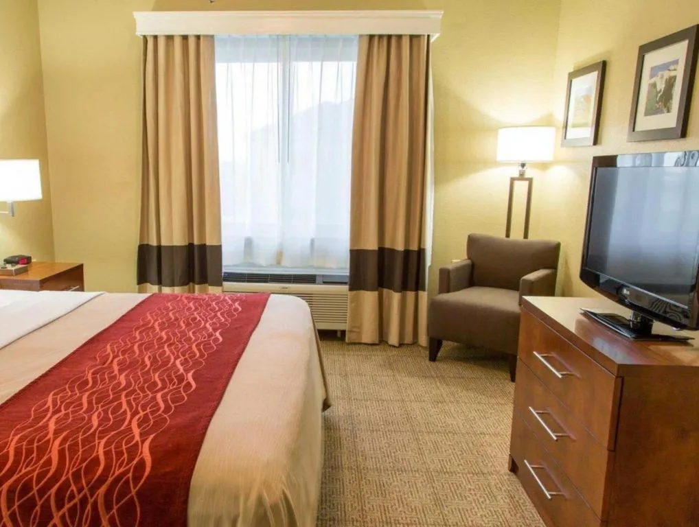 Bed in Comfort Inn DFW Airport North