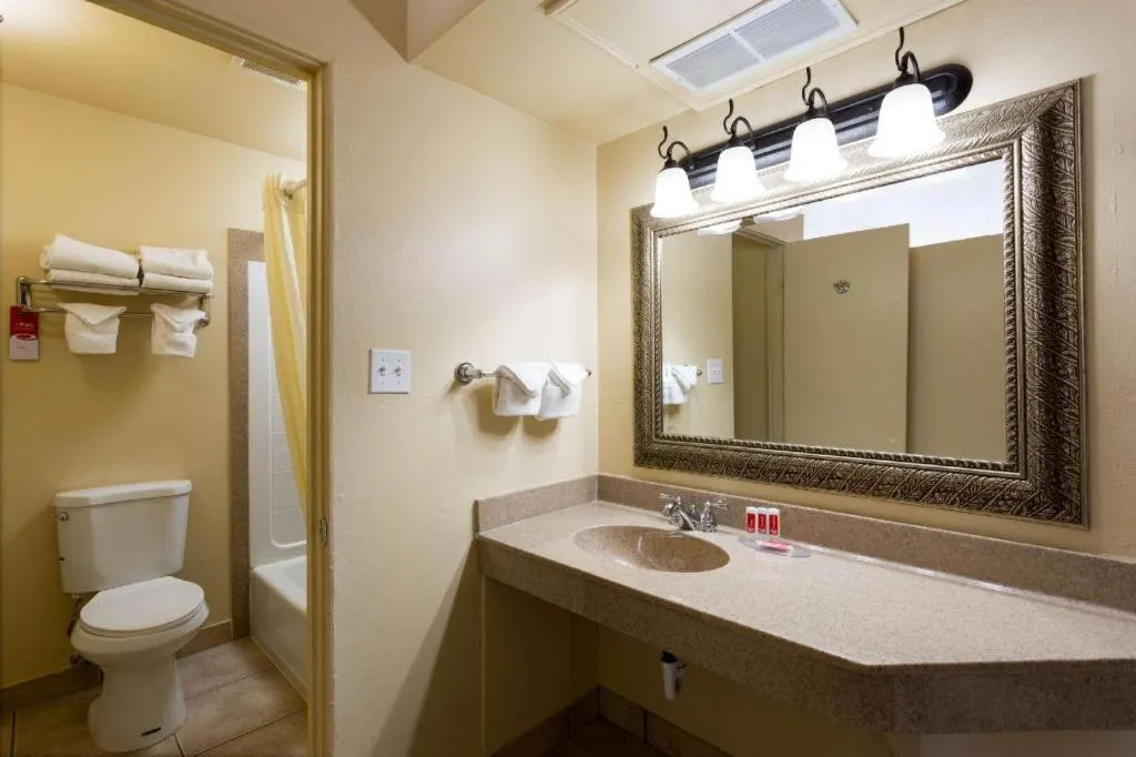 Econo Lodge Inn & Suites Durango