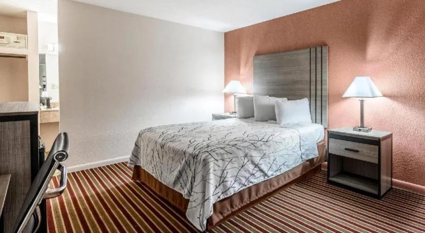 Bed in Americas Best Value Inn Heflin