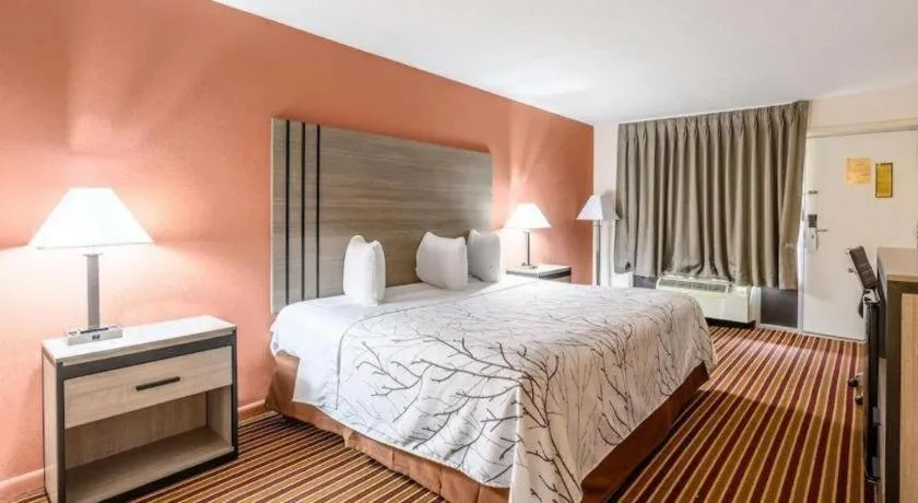 Bed in Americas Best Value Inn Heflin