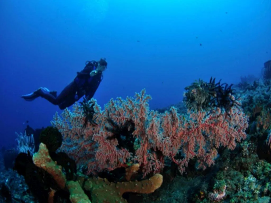 Tulamben Wreck Divers Resort & Restaurant