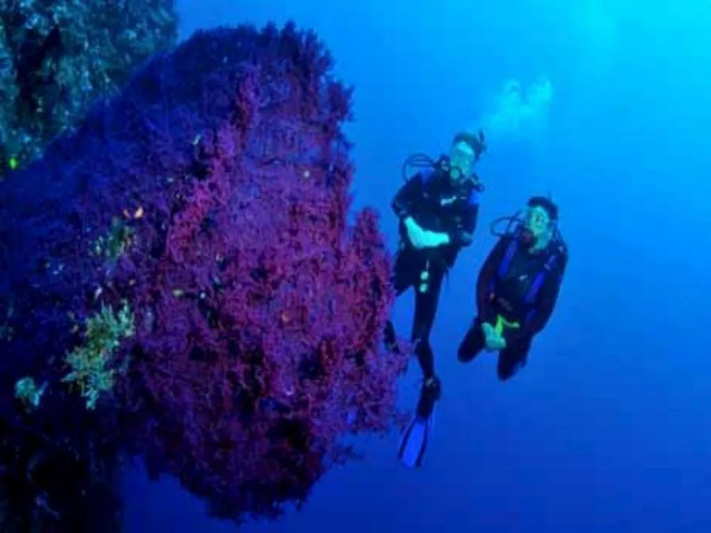 Tulamben Wreck Divers Resort & Restaurant