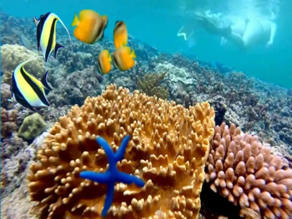 Tulamben Wreck Divers Resort & Restaurant