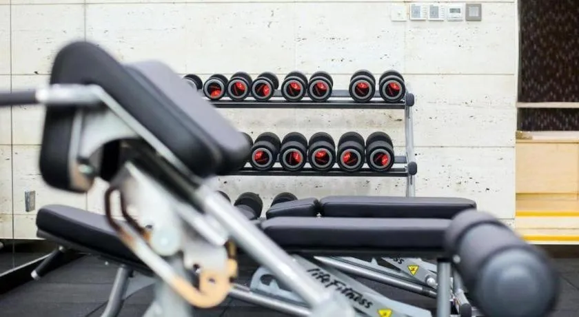 Pins De La Brume Hotel