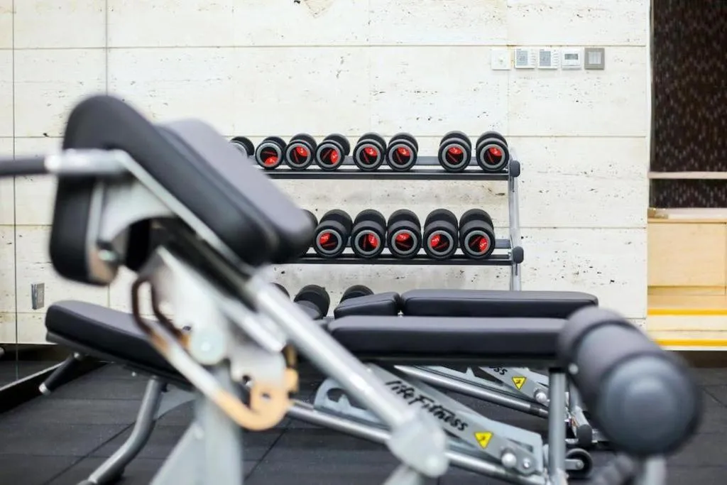 Pins De La Brume Hotel