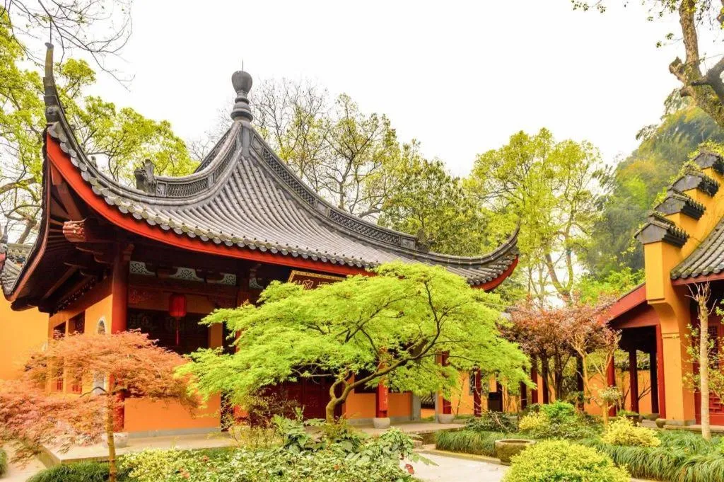 Pins De La Brume Hotel