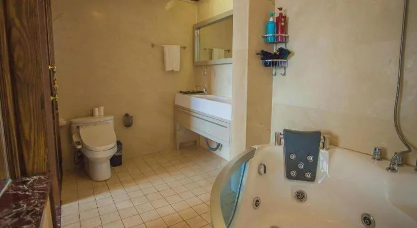 Anshan Camilla Business Hotel